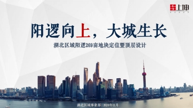 2020湖北区域阳逻269亩地块定位暨顶层设计