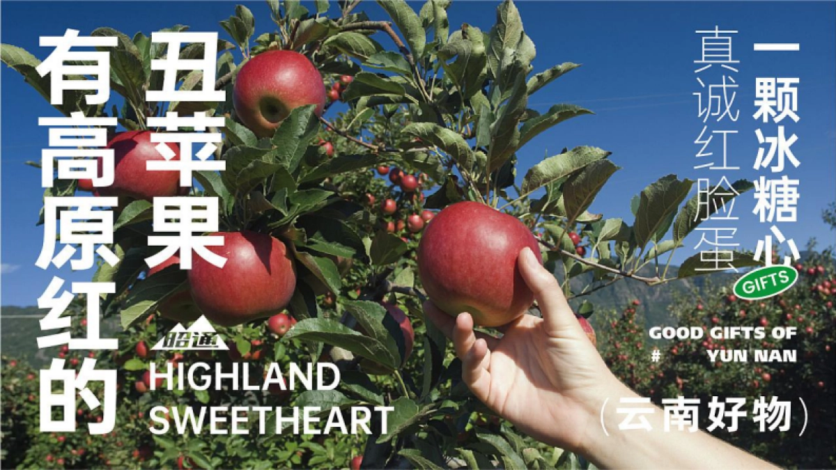 2022云南好物原红丑苹果 苁茸 TWO柚 玉米品牌形象包装设计_第3页