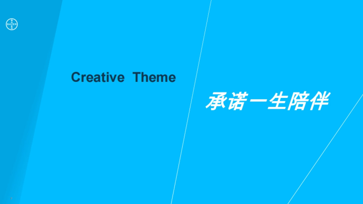 Corporate Video拜耳中国形象片策划创意方案_第7页