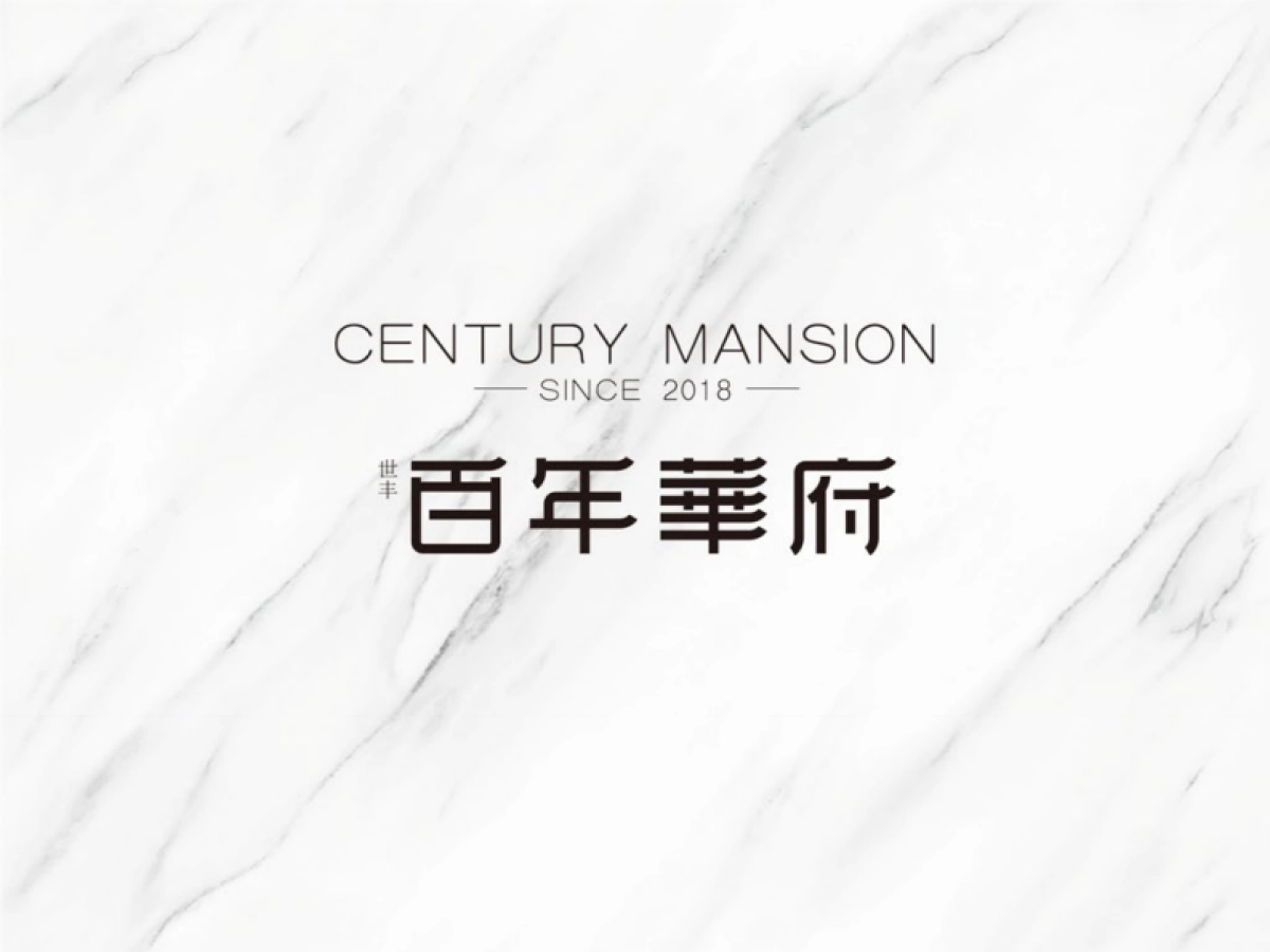 百年世家视觉VI_第1页