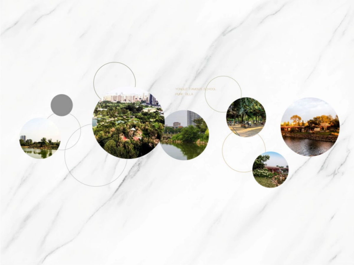 百年世家视觉VI_第5页