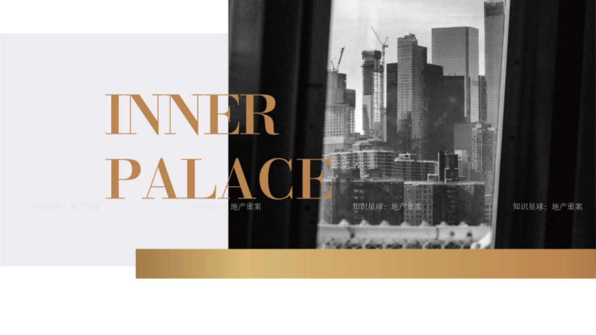 北京国运视觉提报_第3页