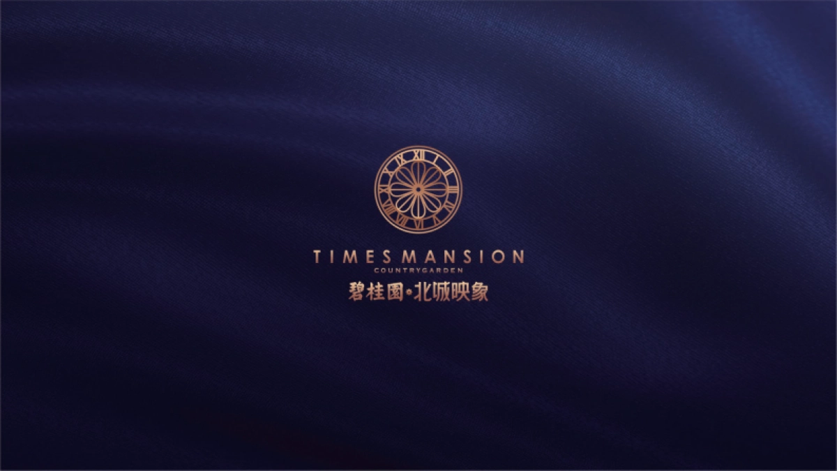 碧桂园·北城印象视觉VI_第1页