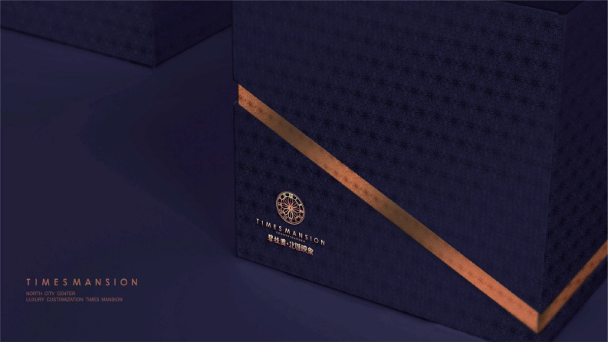 碧桂园·北城印象视觉VI_第10页