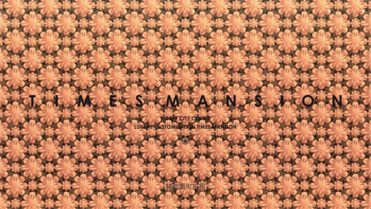 碧桂园·北城印象视觉VI_第6页