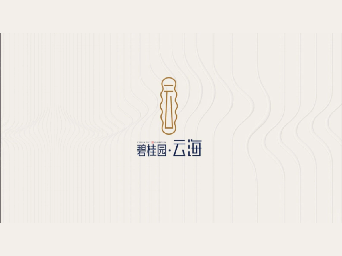 碧桂园·云海视觉VI_第1页