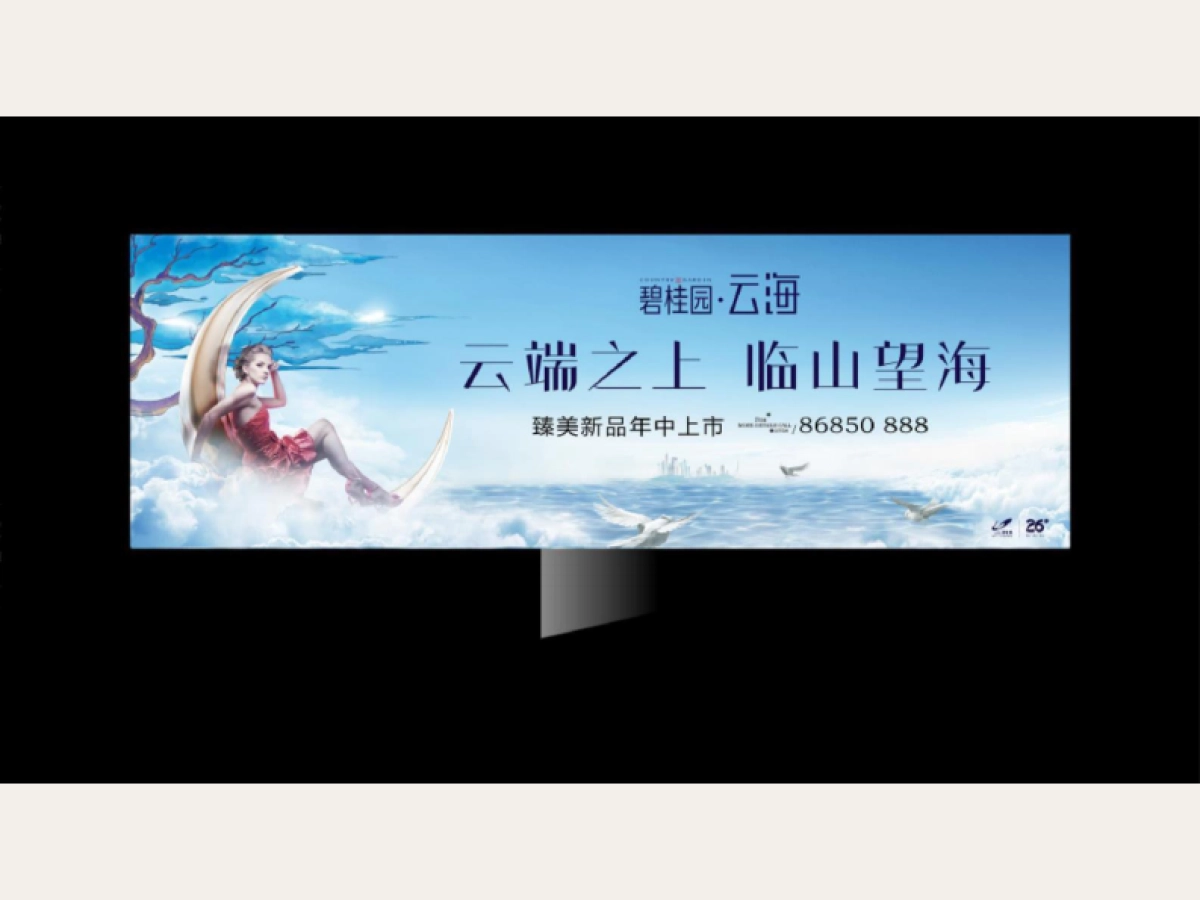 碧桂园·云海视觉VI_第4页