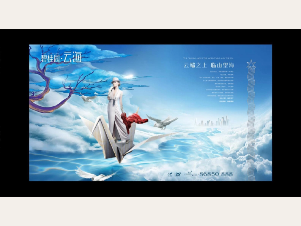 碧桂园·云海视觉VI_第6页