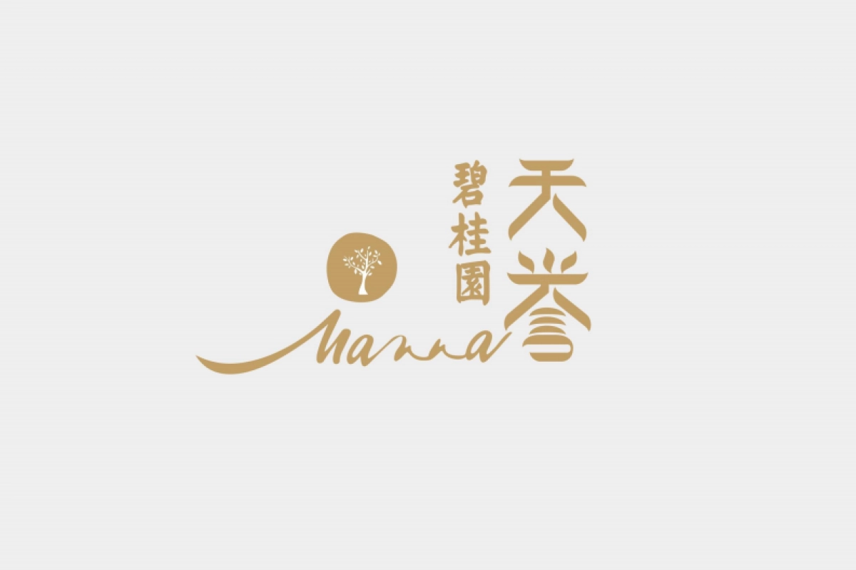 碧桂园天誉VI创作_第2页