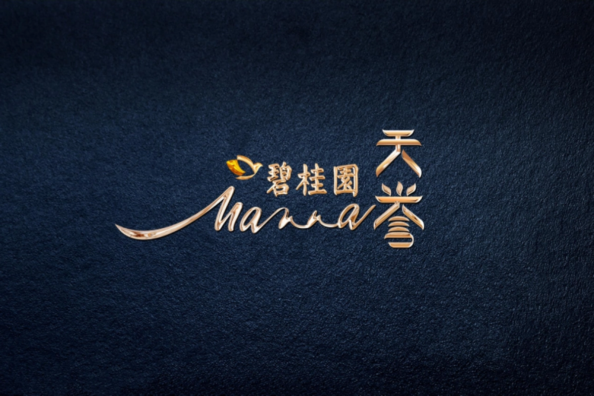 碧桂园天誉VI创作_第3页