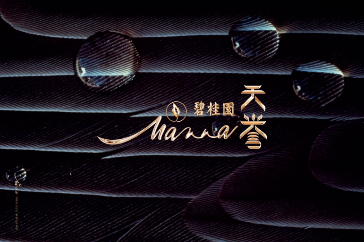 碧桂园天誉VI创作_第5页