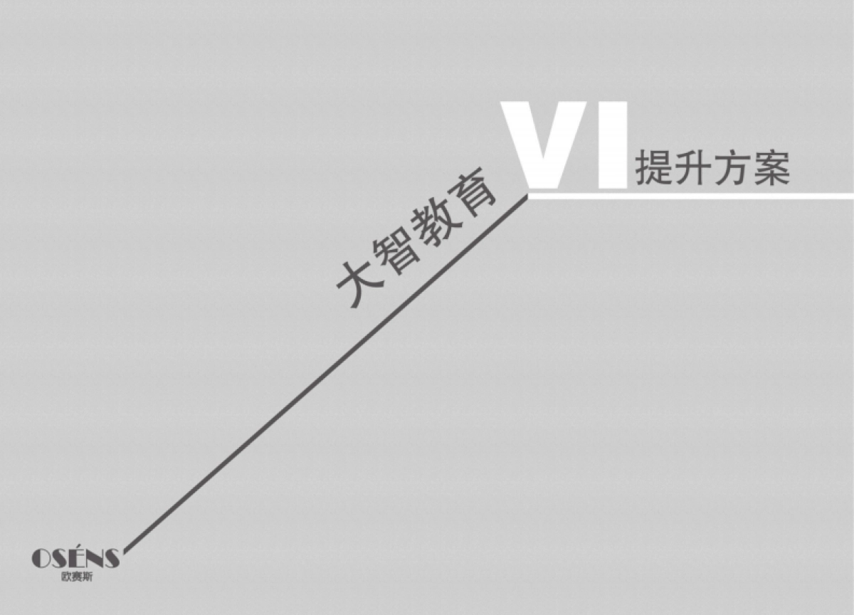大智教育VI提升方案_第1页