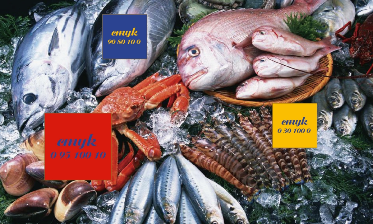 风悦海视觉提报方案_第3页