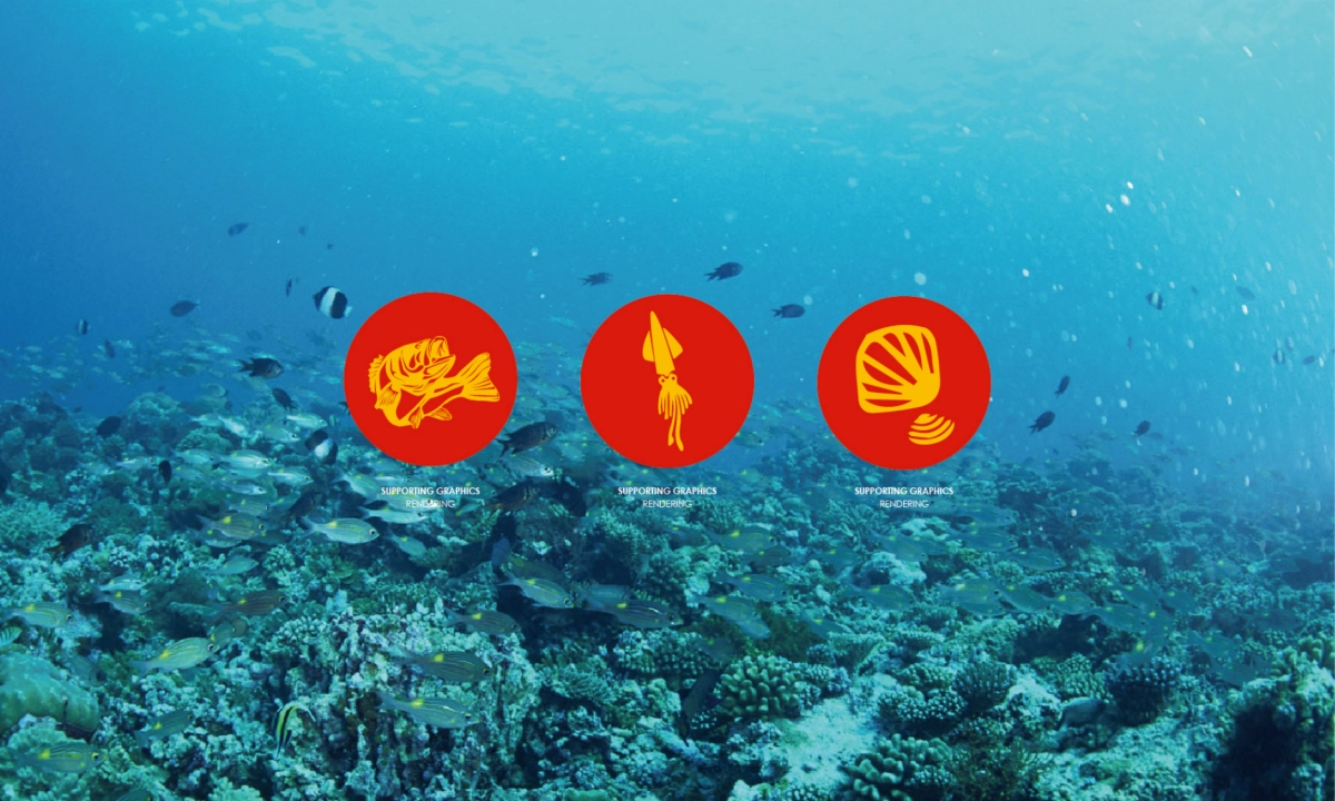 风悦海视觉提报方案_第4页