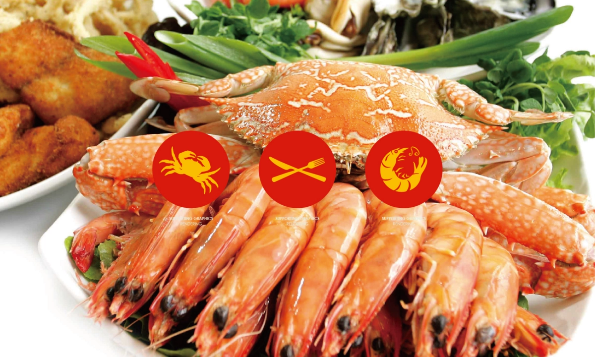 风悦海视觉提报方案_第5页