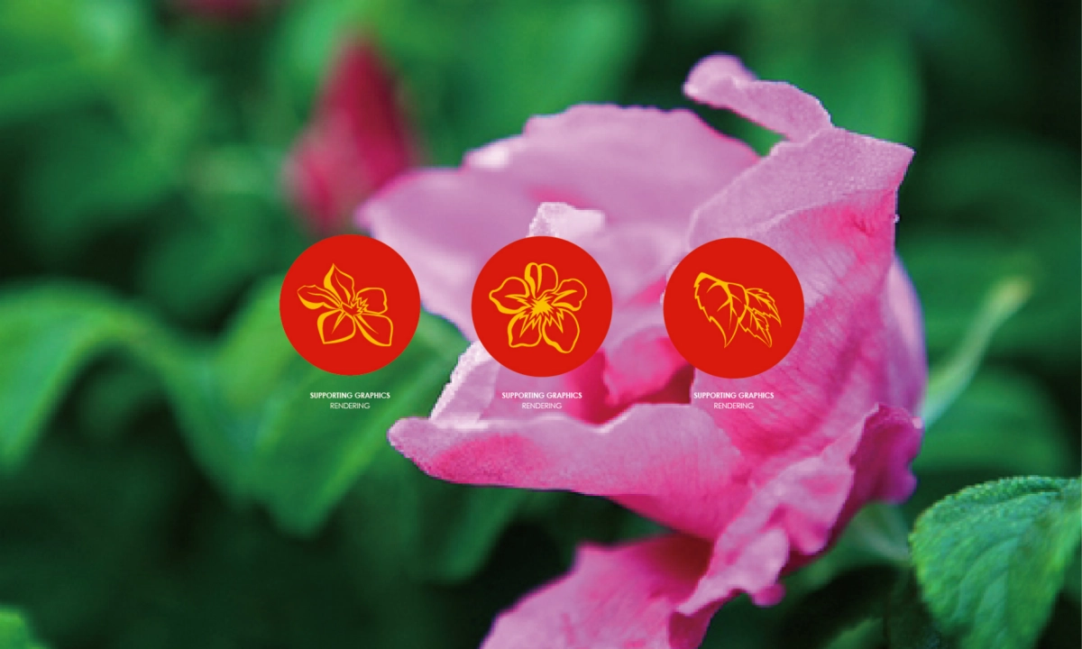 风悦海视觉提报方案_第6页