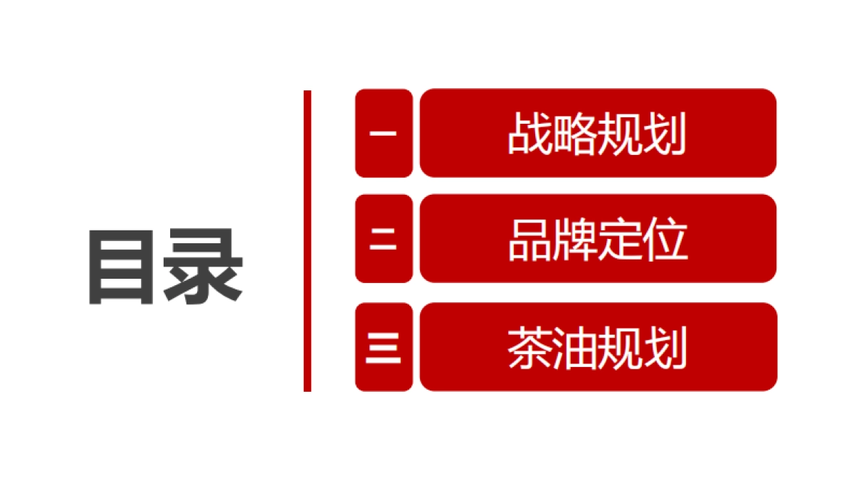恒百年茶花油品牌定位战略及vi系统规划_第4页