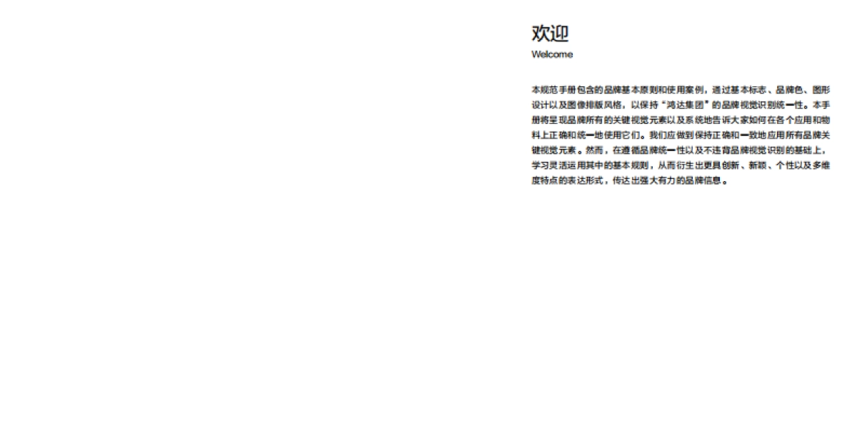 鸿达生物集团VI手册_第3页