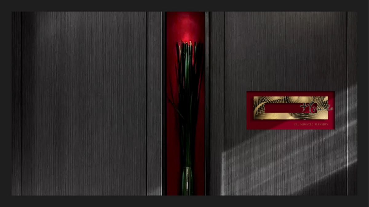 华润万象府 视觉提报_第3页