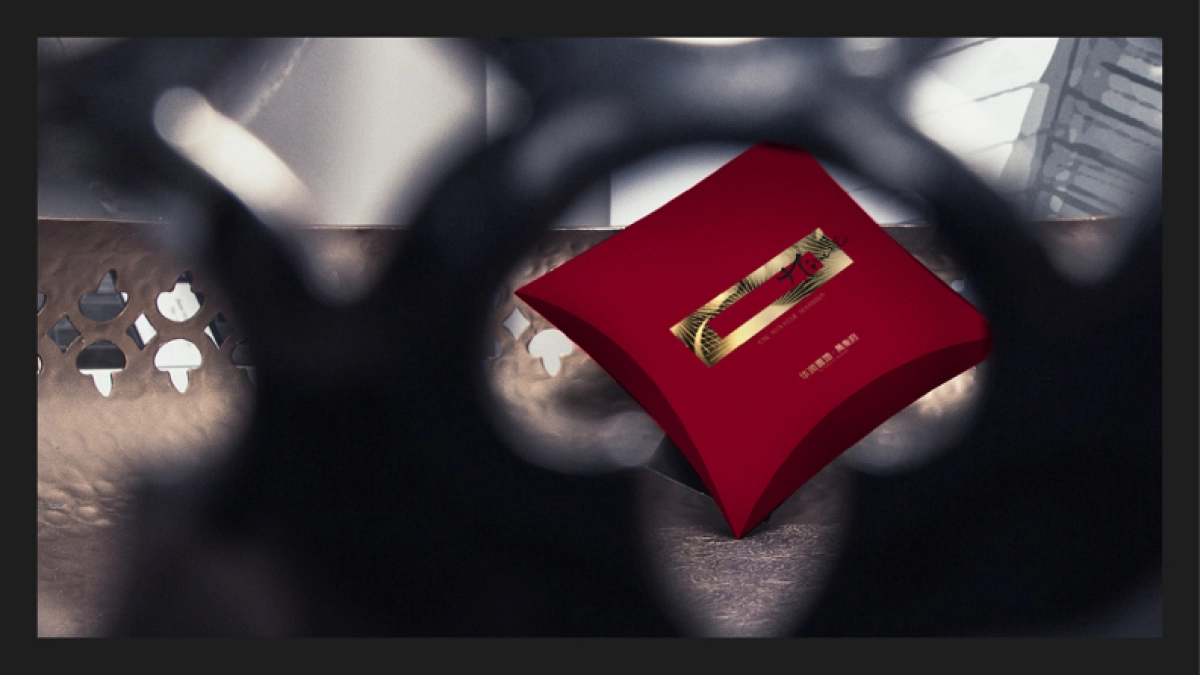 华润万象府 视觉提报_第6页