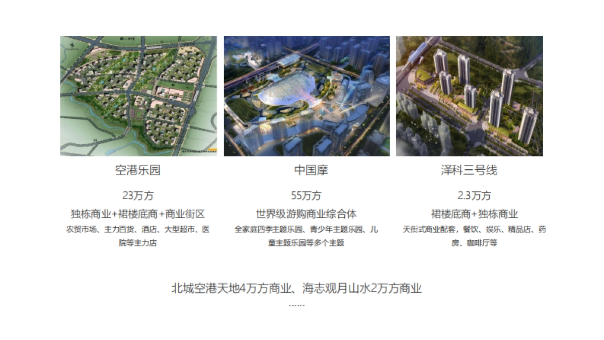 金科空港城商业包装及开街宣传方案_第5页