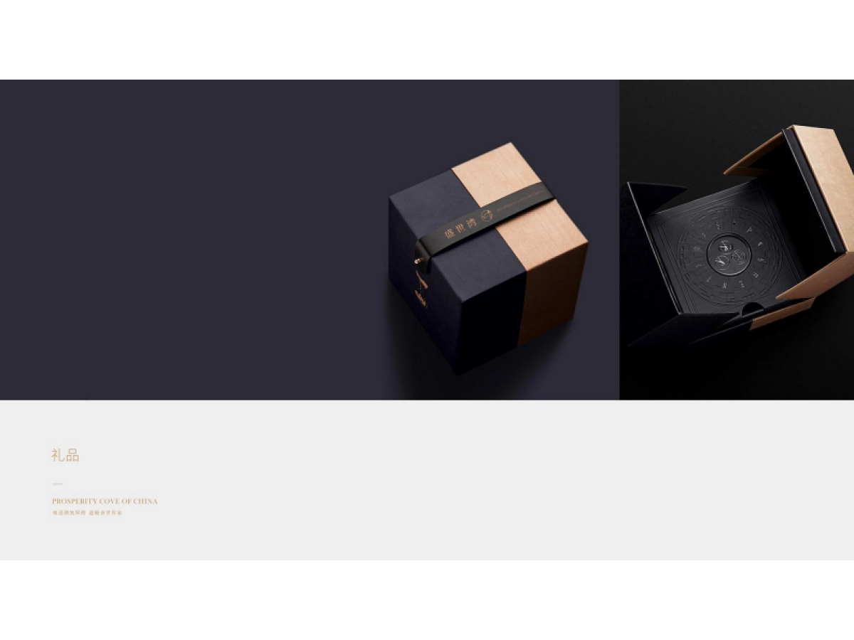 龙光盛世湾视觉VI_第1页