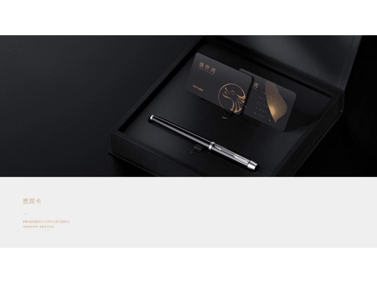 龙光盛世湾视觉VI_第2页