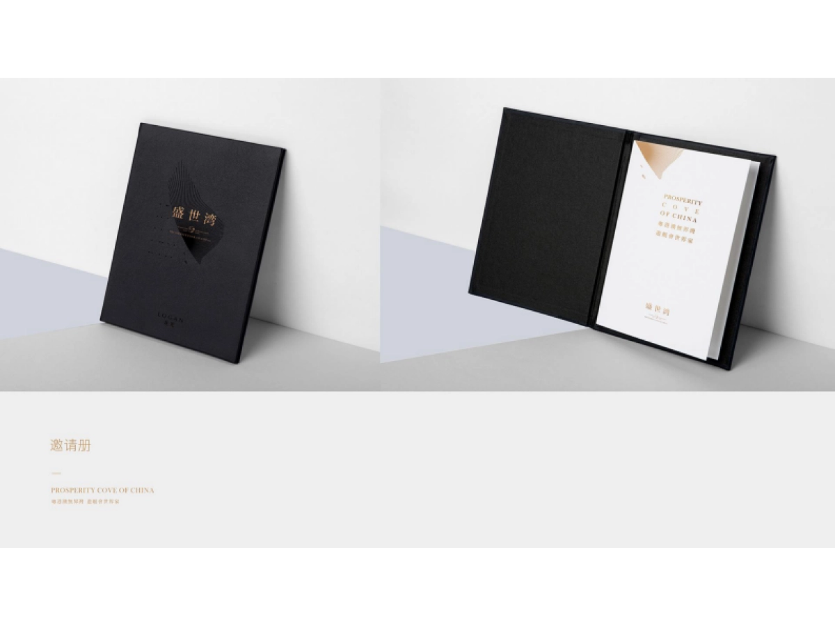 龙光盛世湾视觉VI_第3页