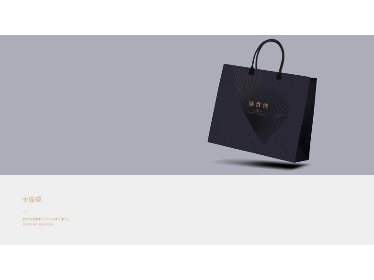 龙光盛世湾视觉VI_第5页