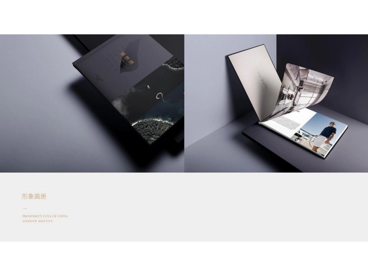 龙光盛世湾视觉VI_第8页