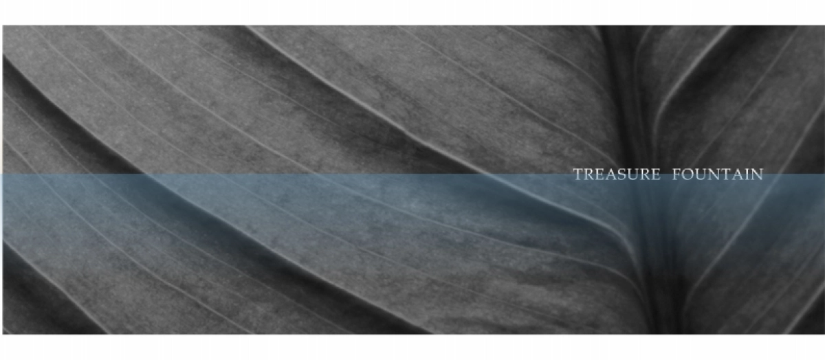 龙湖天街TOD项目视觉提报_第1页