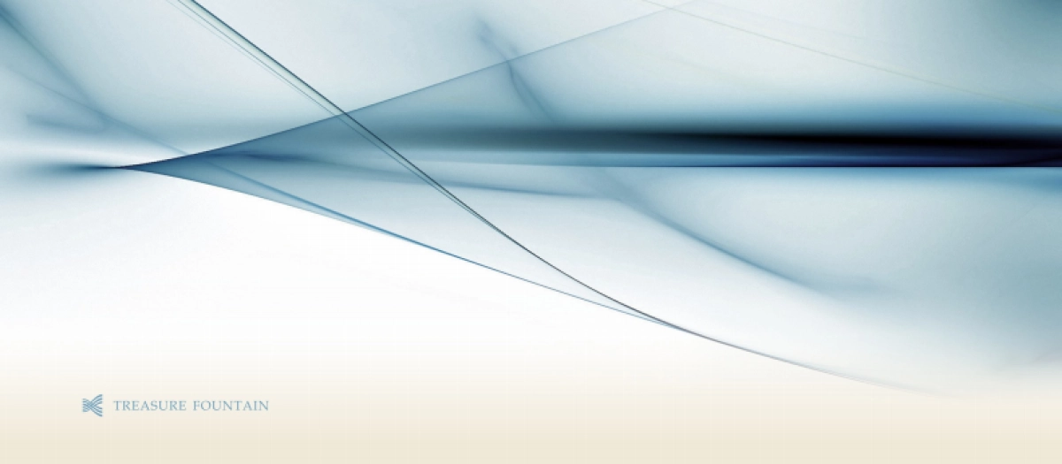 龙湖天街TOD项目视觉提报_第6页