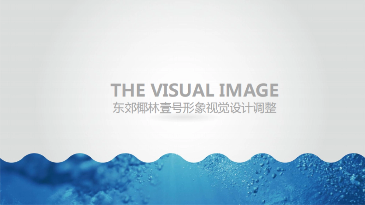 南方·东郊椰林壹号视觉VI_第1页