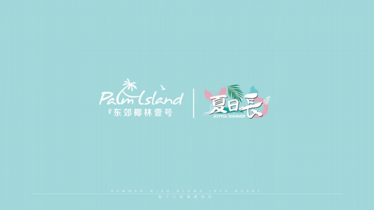 南方·东郊椰林壹号视觉VI_第6页