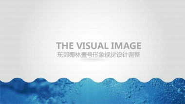 南方·东郊椰林壹号视觉VI