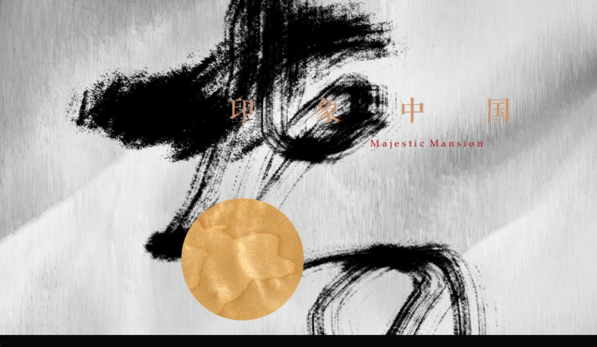 南宁2020大唐印象视觉提报_第2页