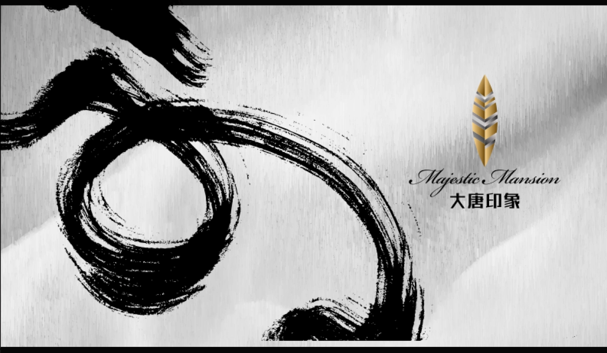 南宁2020大唐印象视觉提报_第4页