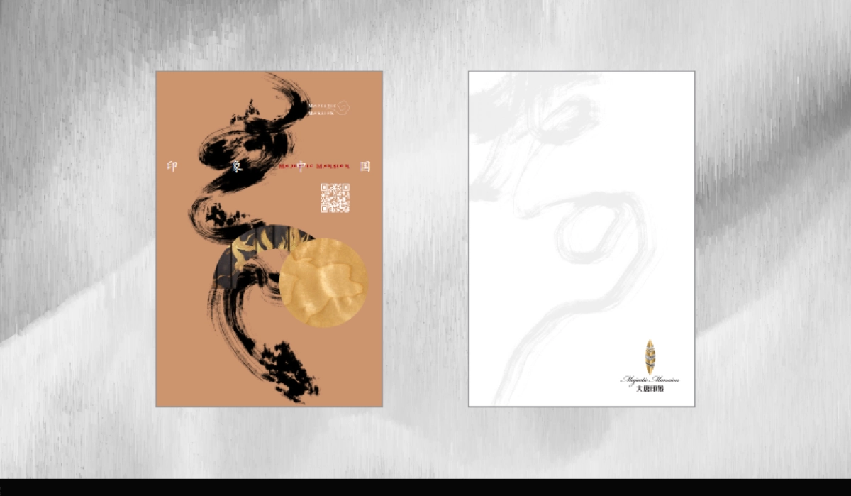 南宁2020大唐印象视觉提报_第7页