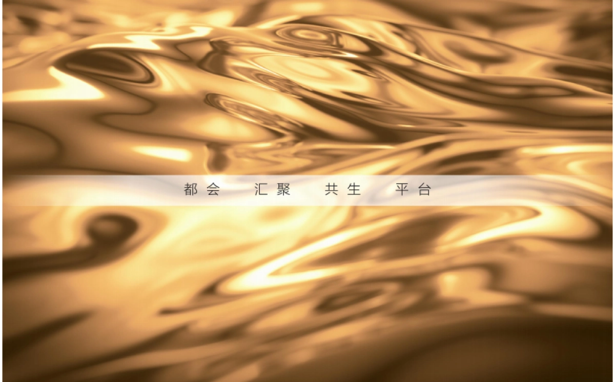 钱隆大观视觉VI提报方案_第2页