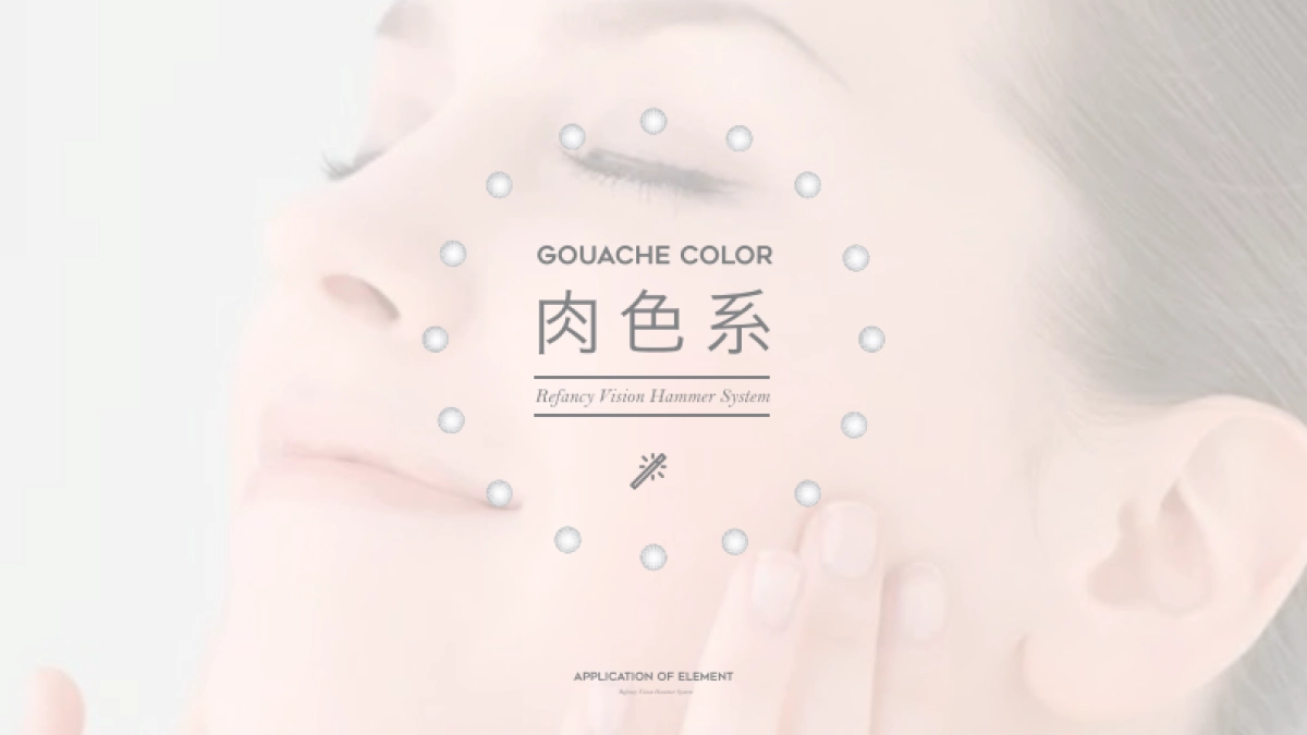 瑞梵茜品牌形象设计方案_第7页