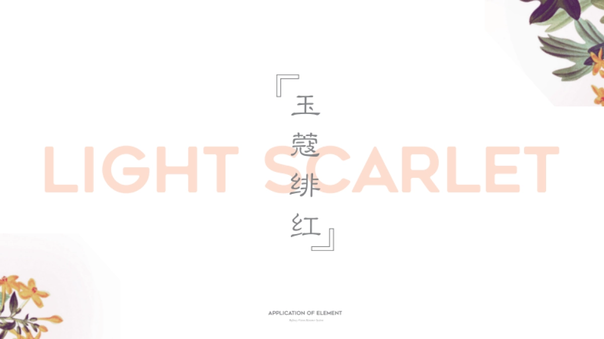 瑞梵茜品牌形象设计方案_第9页