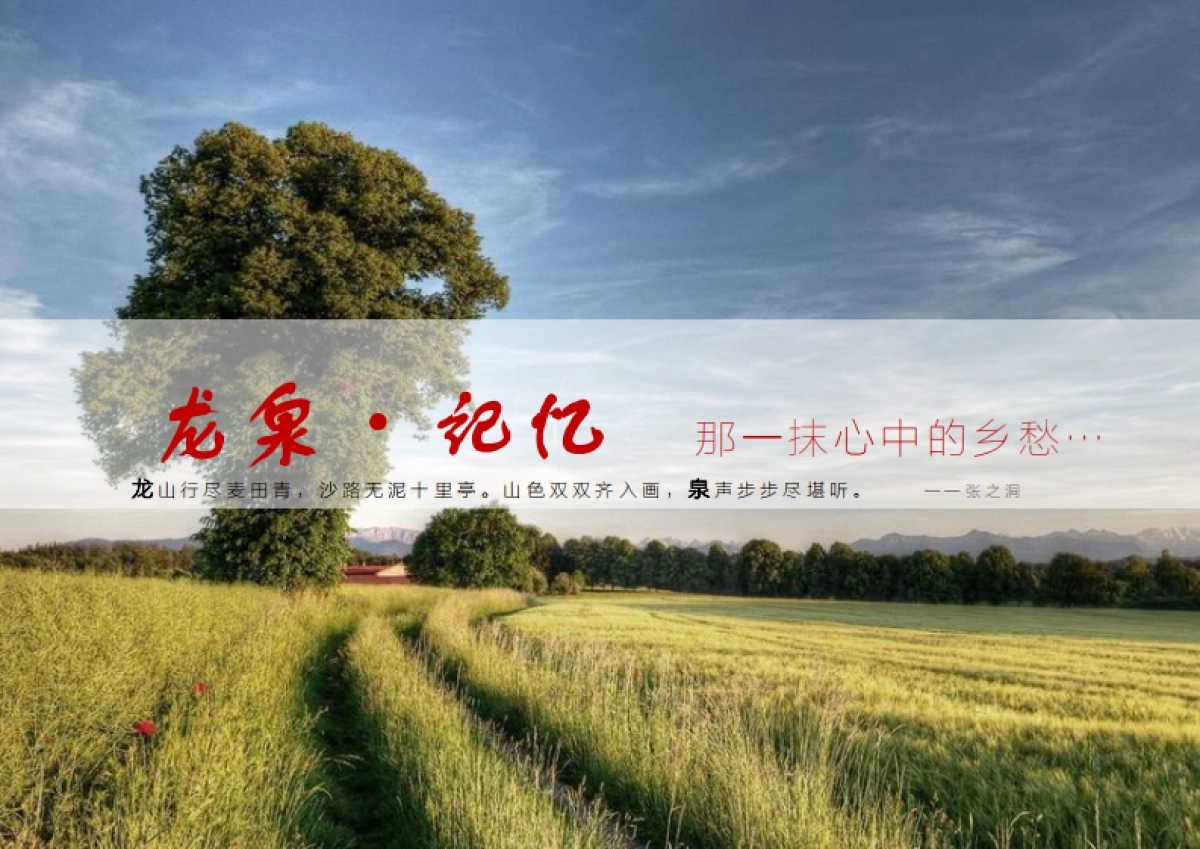 山东即墨市龙泉街道柳林村村庄建设规划设计_第2页