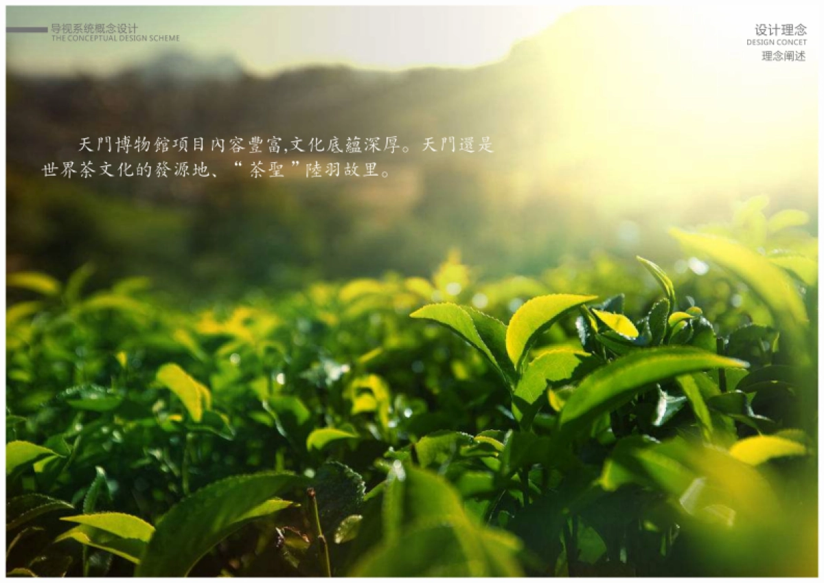 文旅博物馆项目导视标视设计规划方案_第9页