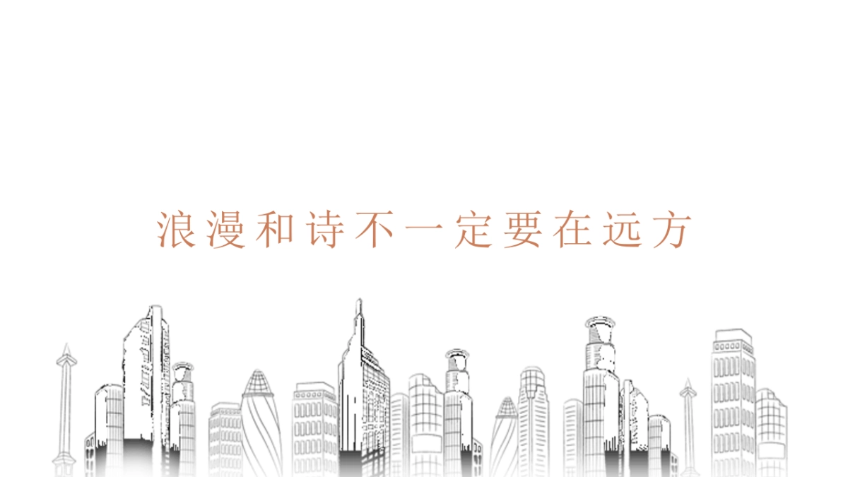 佳源商业包装方案_第8页