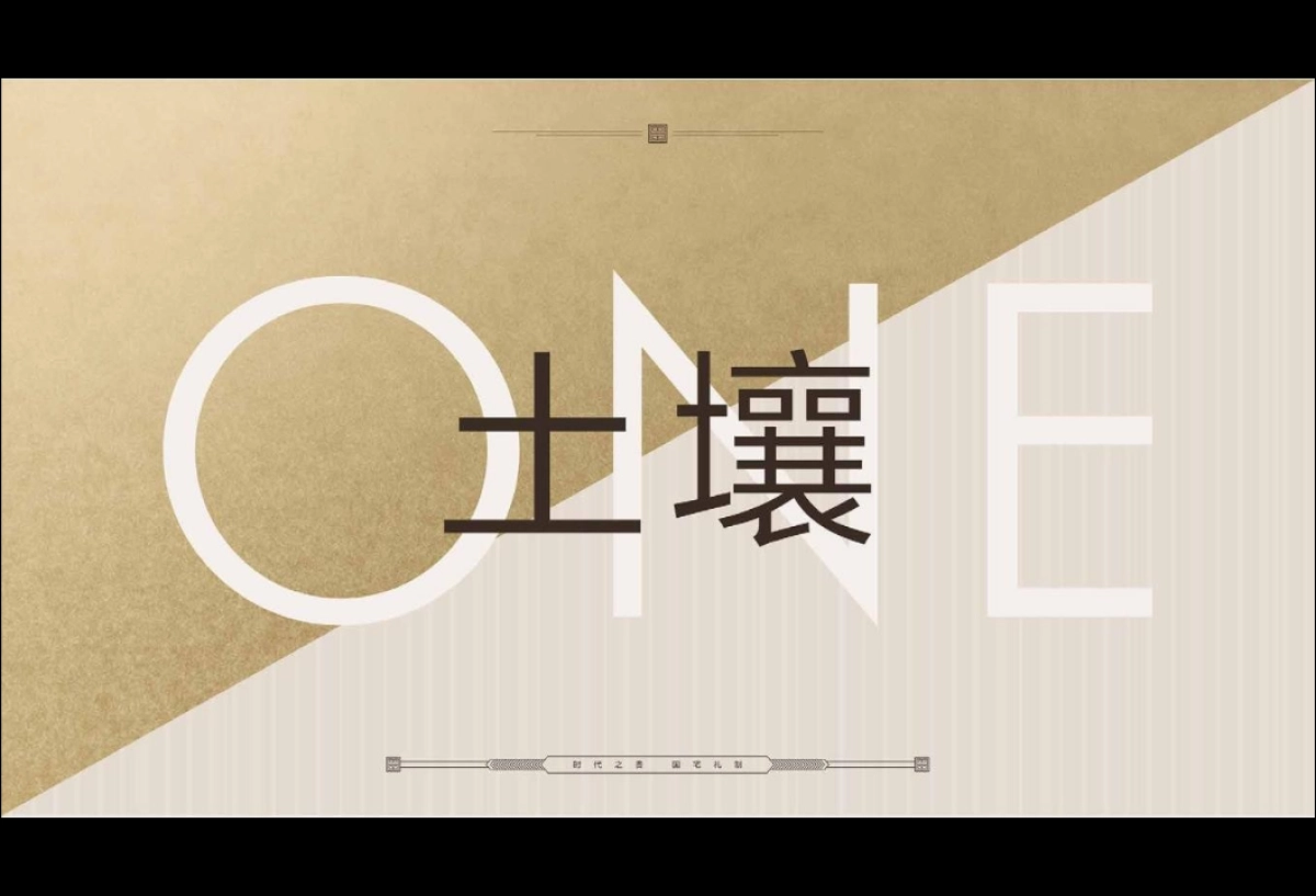 金尊府视觉VI_第3页