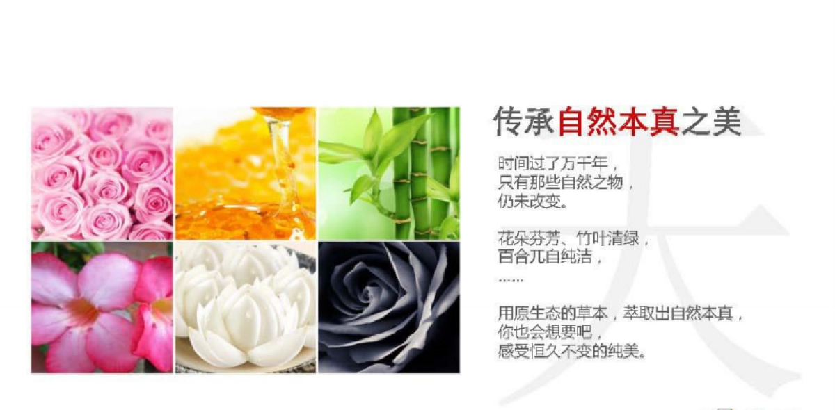 御泥坊化妆品面膜品牌体验店连锁店铺设计规划_第9页