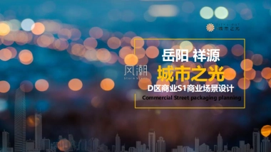 岳阳祥源城市之光商业包装