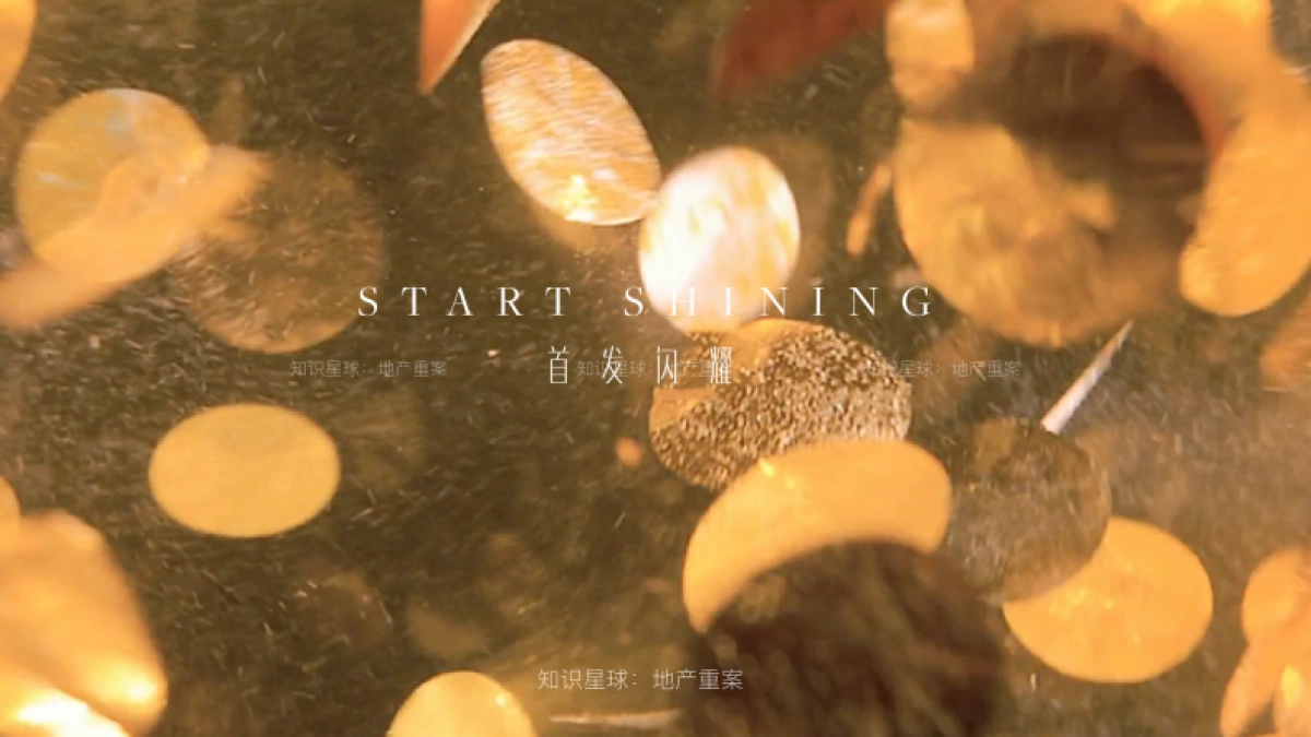 中骏天系高端项目视觉提报_第1页