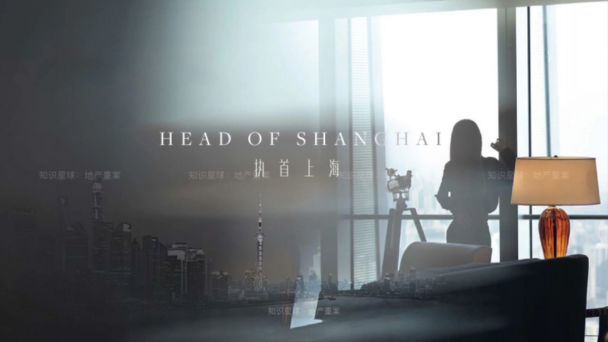 中骏天系高端项目视觉提报_第3页