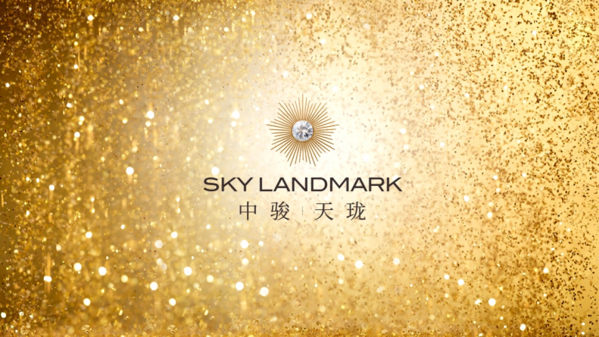 中骏天系高端项目视觉提报_第4页